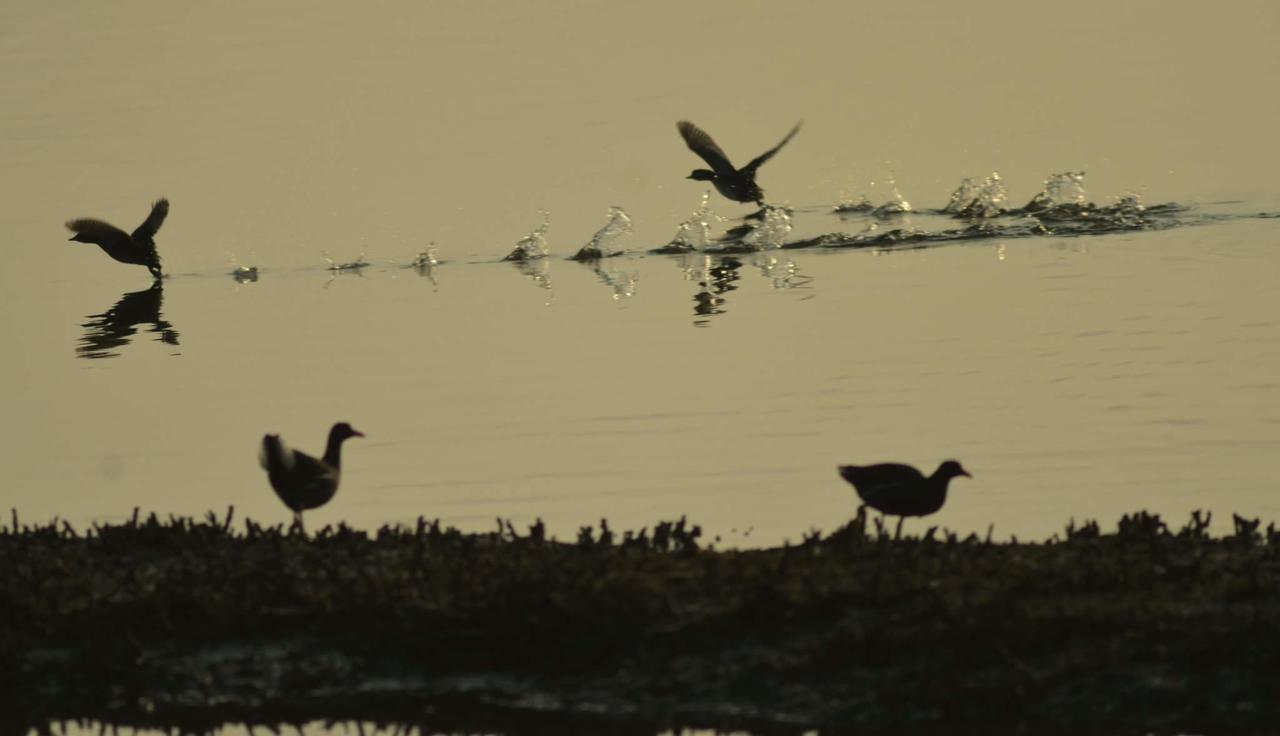 Water Bird Family Apartment Toucheng Exterior foto